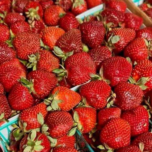 Fruits